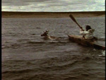 caribou crossing